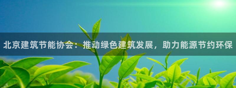 尊亿娱乐国际官网：北京建筑节能协会：推动绿色建筑发展，助力能源节约环保